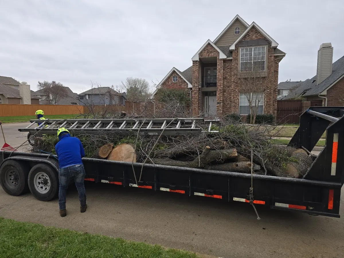 Expert Crown Reduction with proper safety equipment in Saint Joe